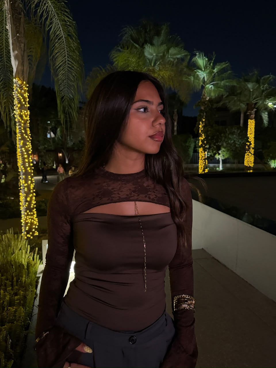 Lace Top Brown long sleeves